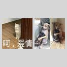 男人好色,所以女人自信 icon